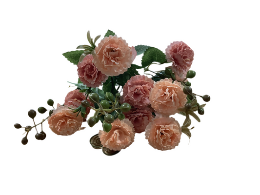 CMC230 Mini Carnations Bush