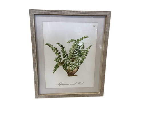 DH184 Wall Hanging/Ferns
