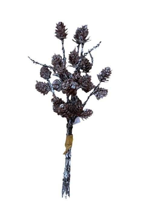 VL6462 Pinecone Bouquet
