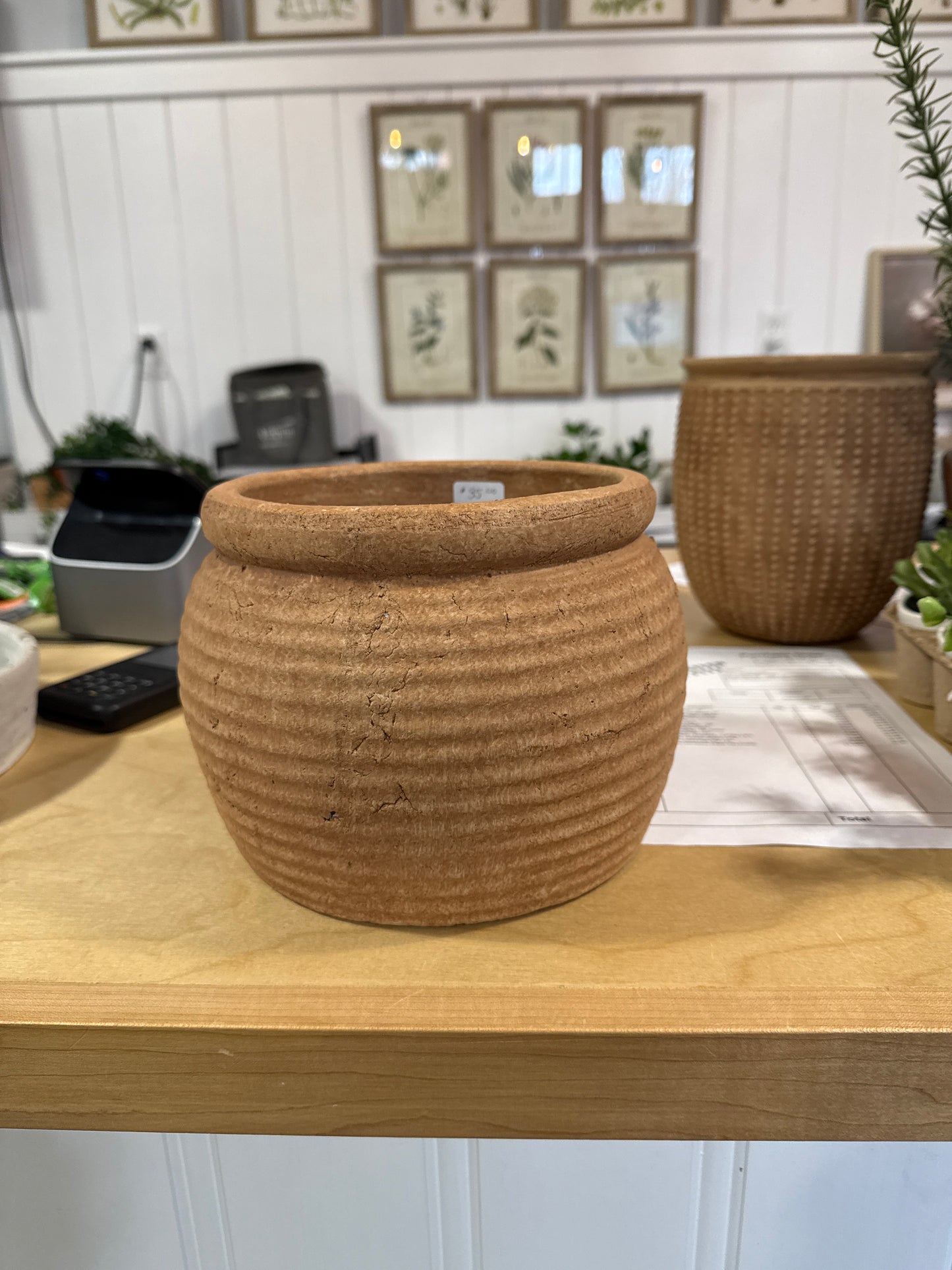 MC78 Terracotta Pot