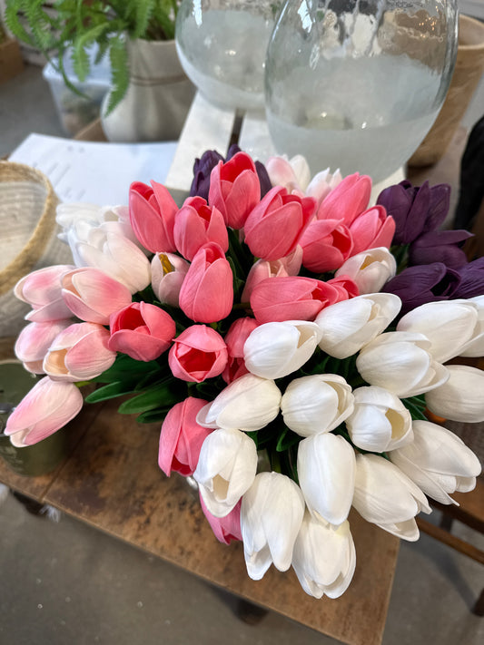 Tulip bundle of 5