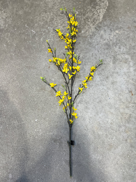 DH182. Forsythia Branch