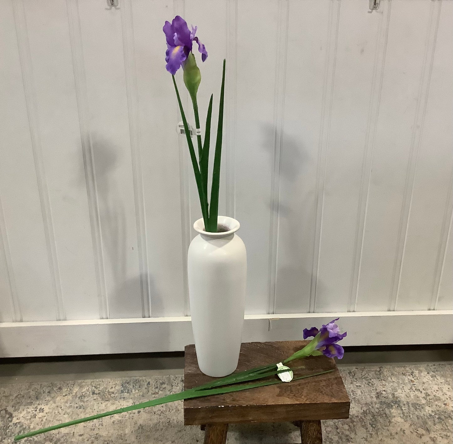 CMC881PU - Dutch Iris