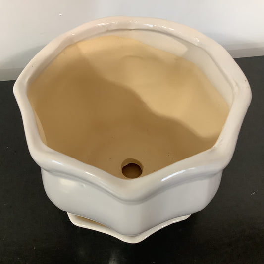 RAZ4349 Planter w/ Tray - Cream
