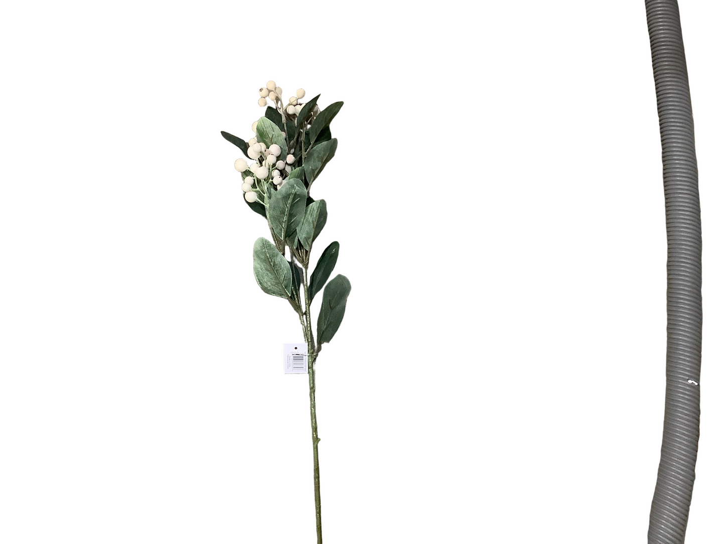 VL4450 White Berry Spray