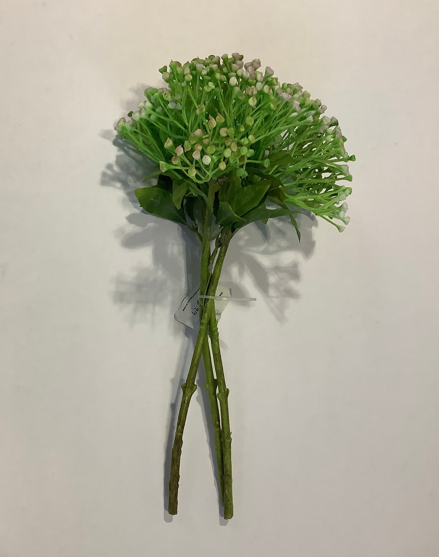 CMC016PK - Erica Berry Bundle / Pink