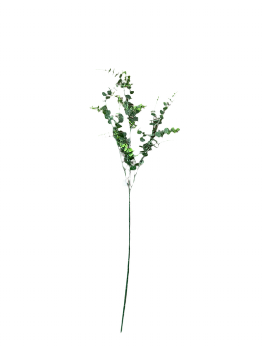 CMC662 Eucalyptus Stem