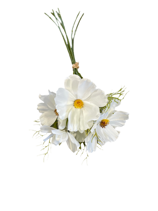 P0232 Cosmos / White