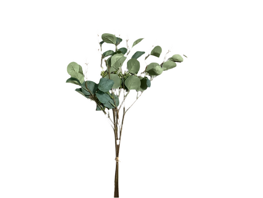 FL03 Eucalyptus Bundle