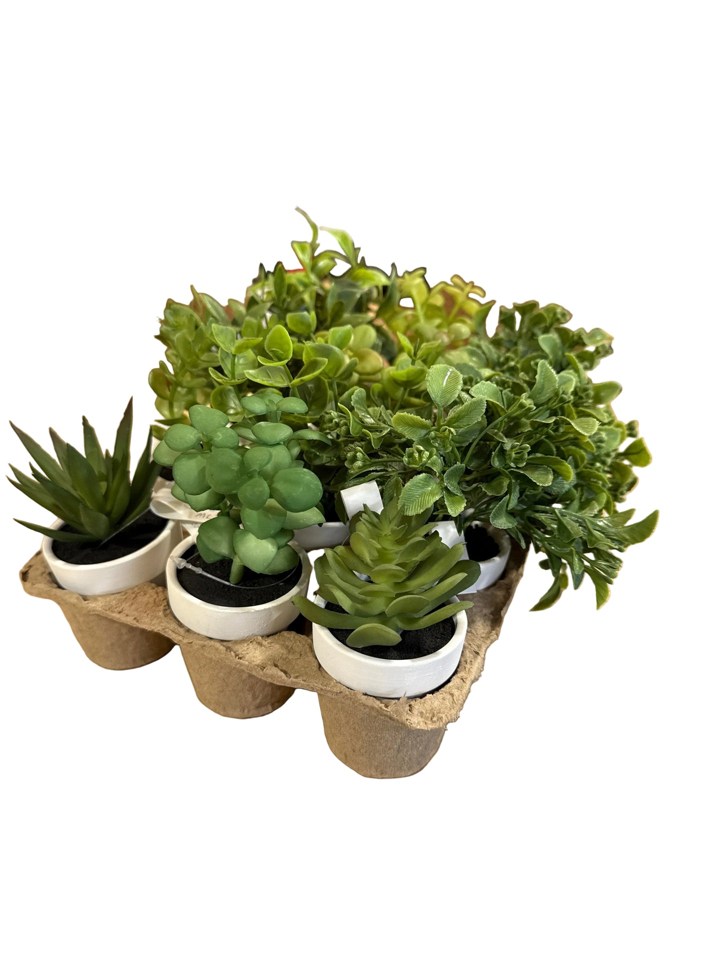 MC72 Spring Greens