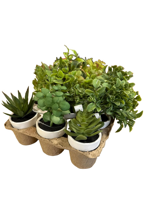 MC72 Spring Greens