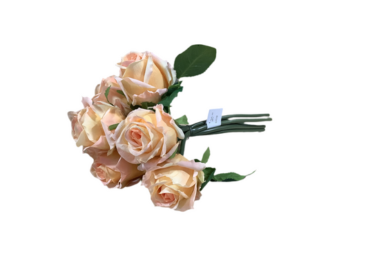DH181 Rose Bundle/Peach