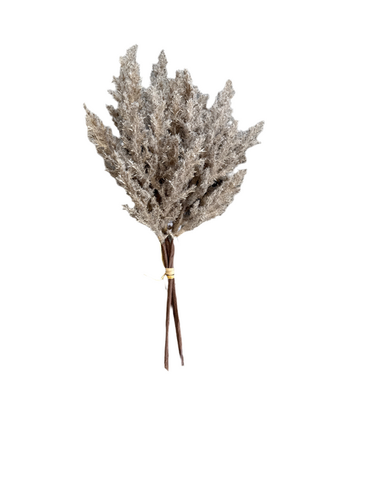 NOS2034 Pampas Bunch