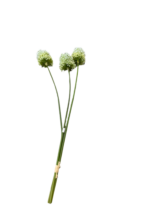 RS003MU Thistle Flower