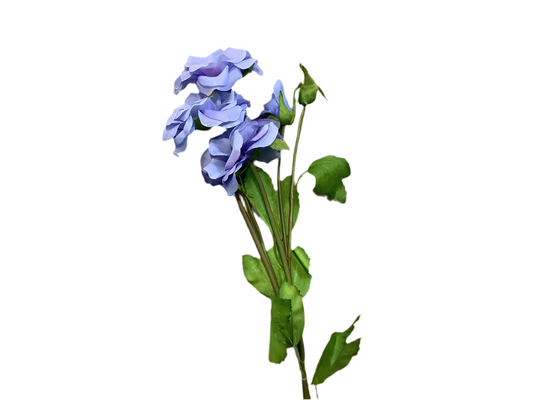 CMC613A Butterfly Ranunculus/Blue