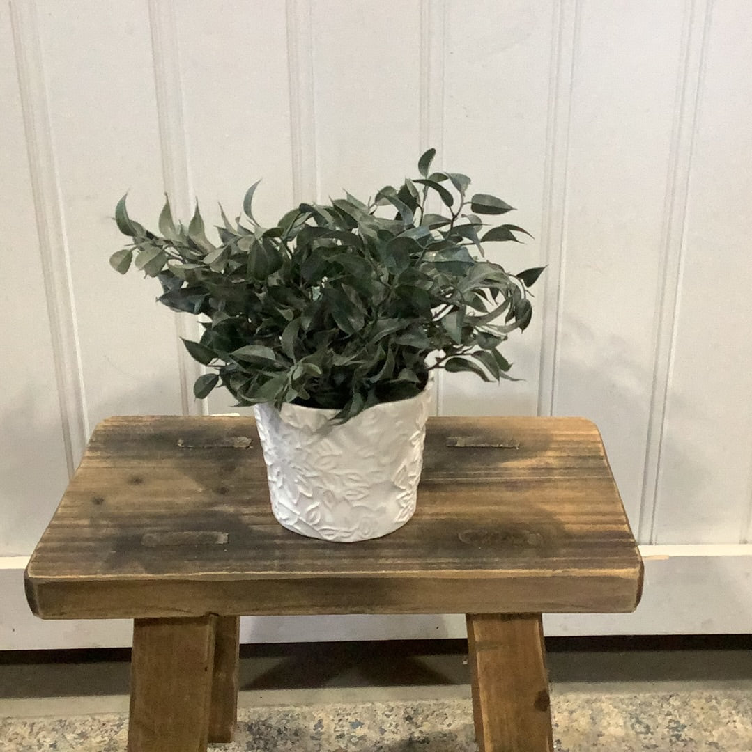 GC07 - Herbs / Potted