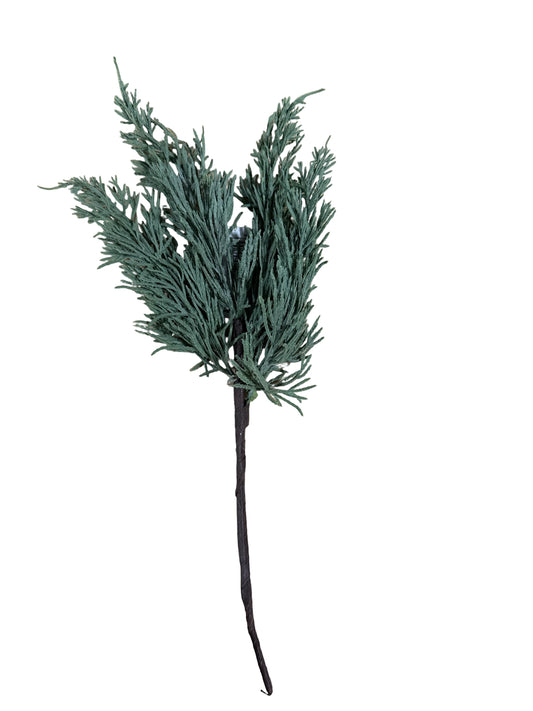 CMC010 Cedar Pick