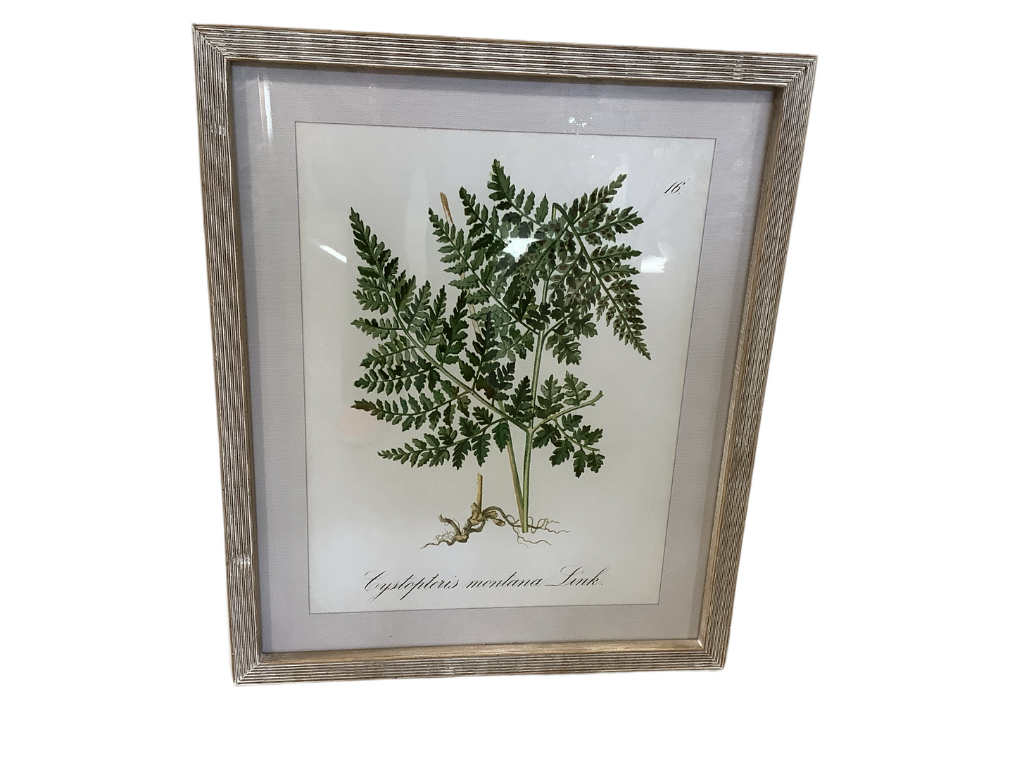 DH184 Wall Hanging/Ferns