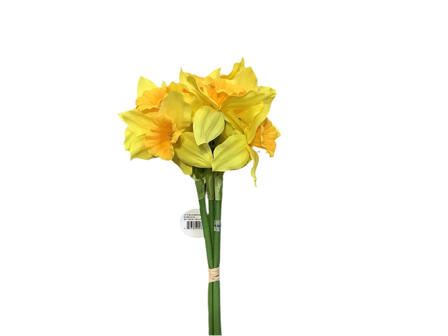 CMC198 Daffodil Bundle