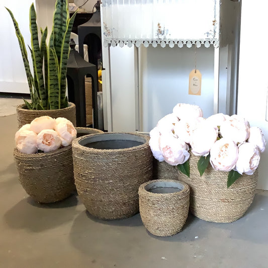 AB4980 Pot -Seagrass