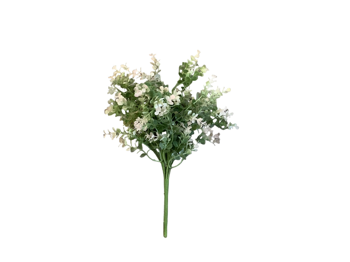 MC79 Eucalyptus/Cream Pink Tip