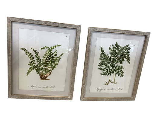 DH184 Wall Hanging/Ferns