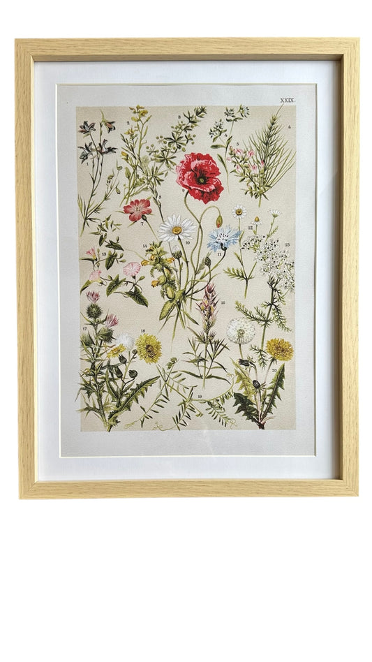 Nos3825- wall art / wildflowers