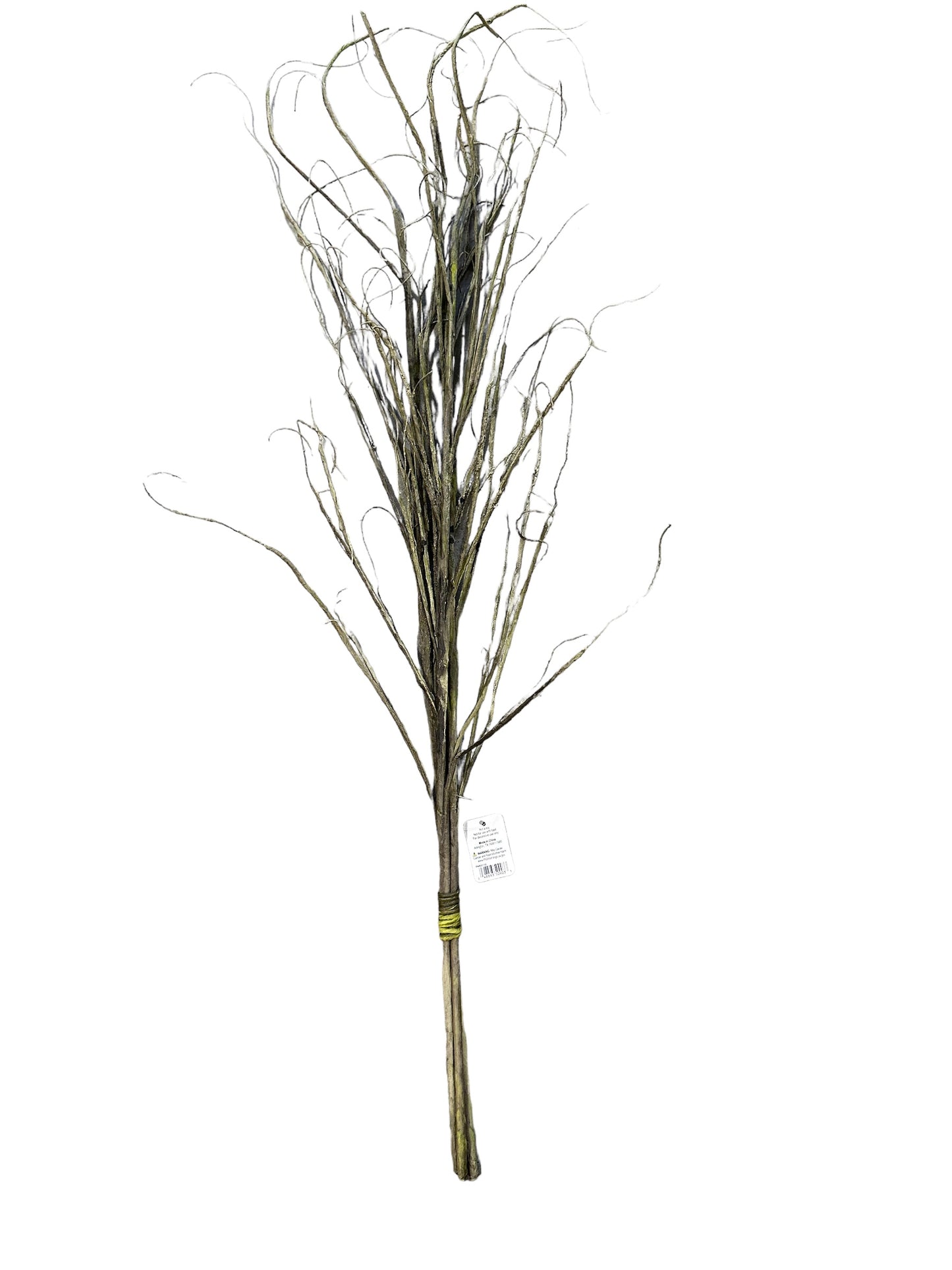 RAZ2152 - Curly Willow