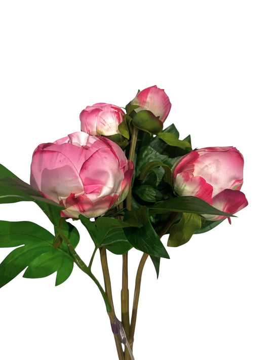 FL2524pk- peony / pink