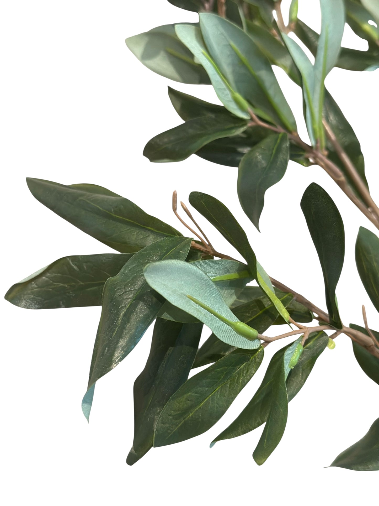 FL9213- Olive Leaf Branch