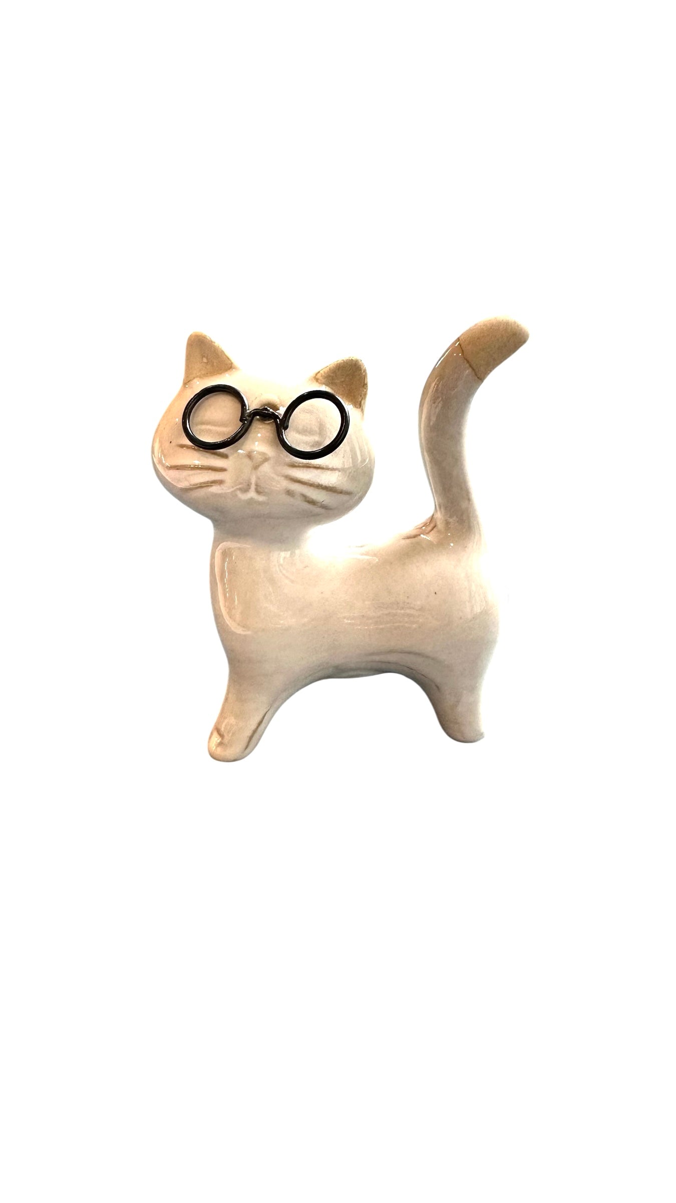 Nos3701- cat w/ glasses