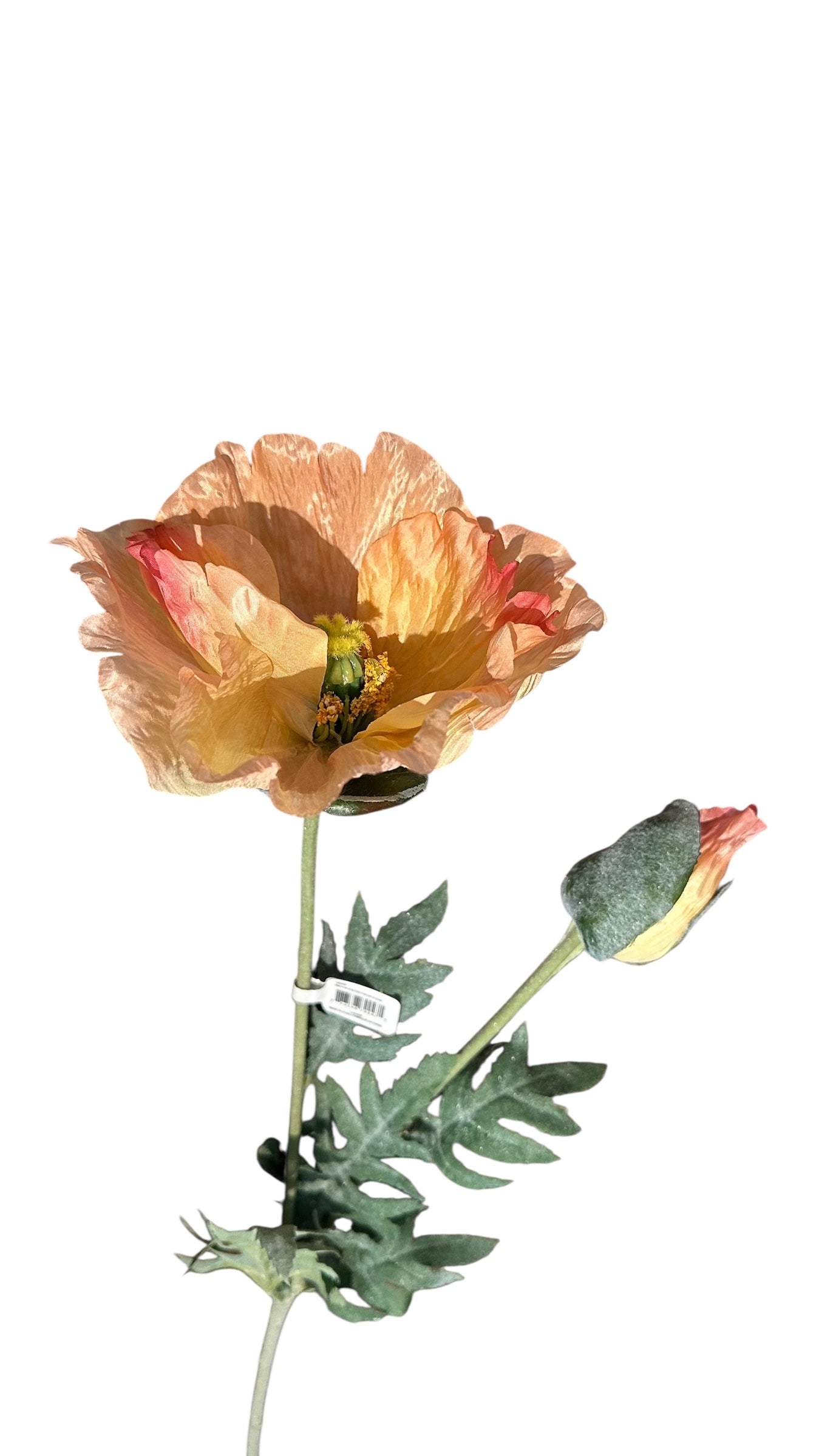 P0409- poppy stem