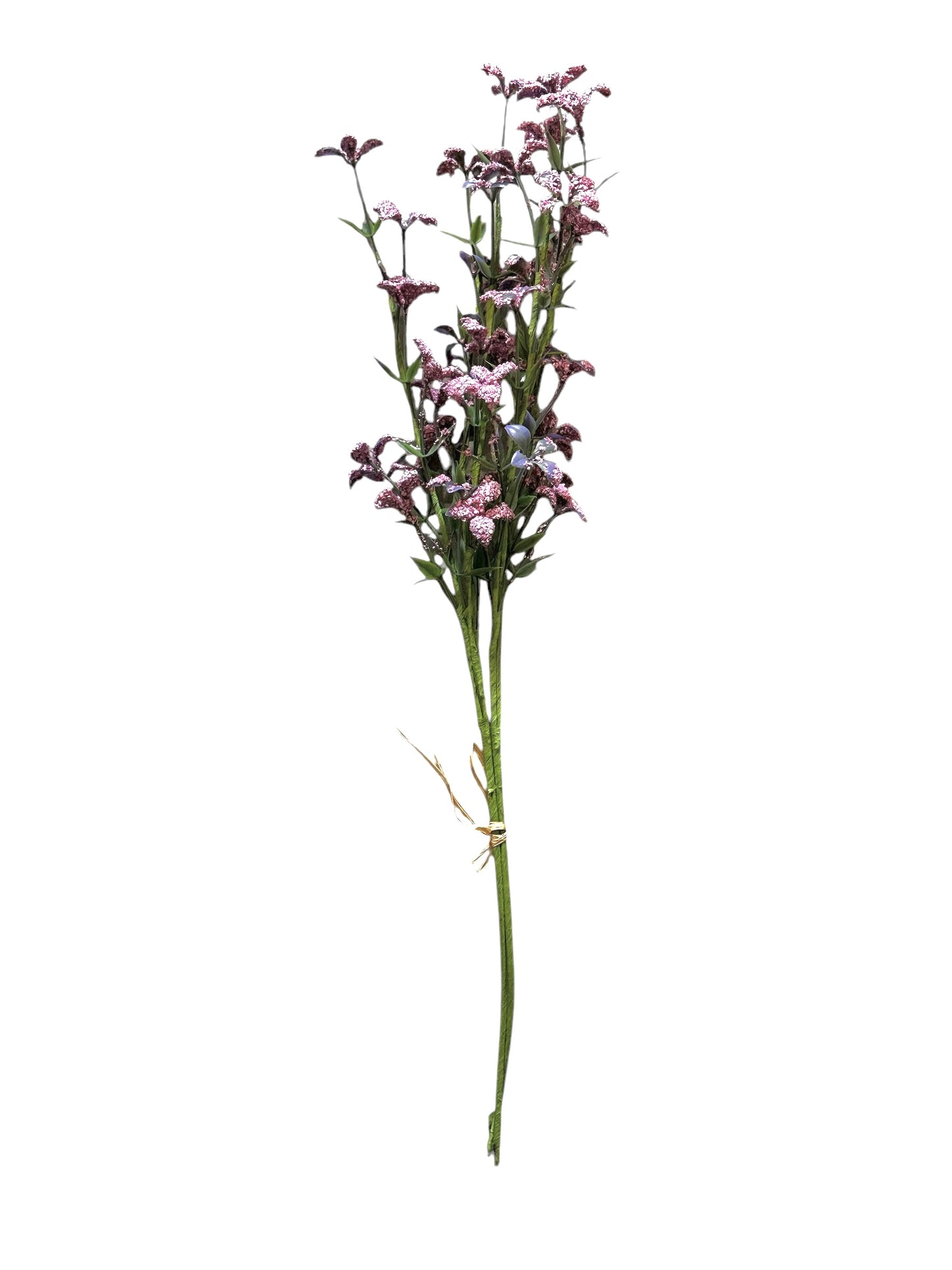 DH186- grass with pink flower