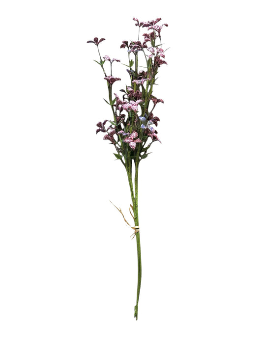 DH186- grass with pink flower