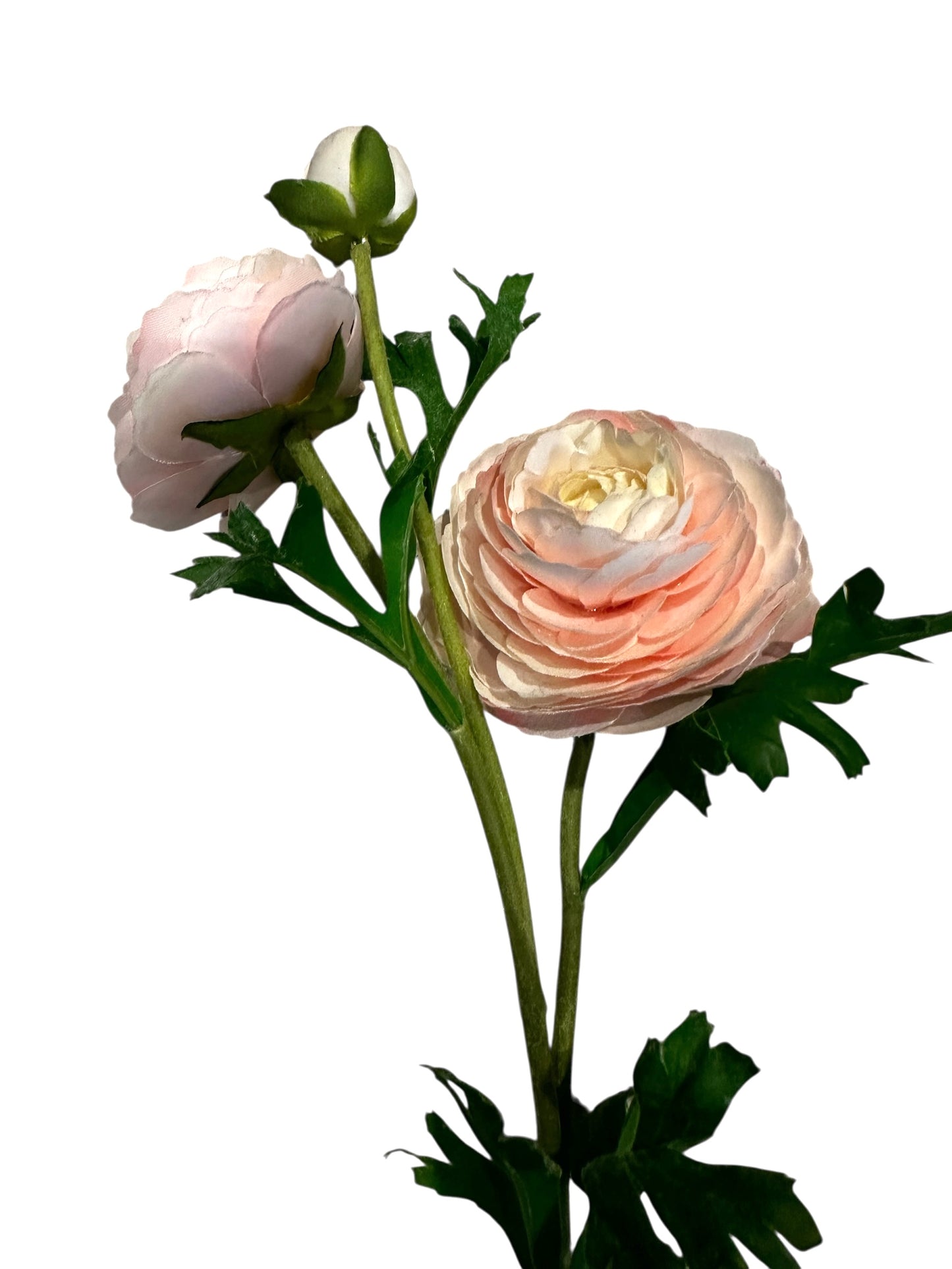 FL1507- Ranunculus Stem Blush flower