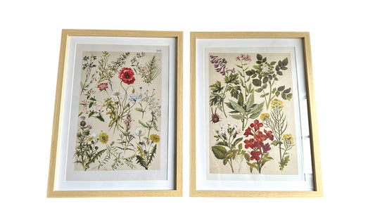 Nos3825- wall art / wildflowers