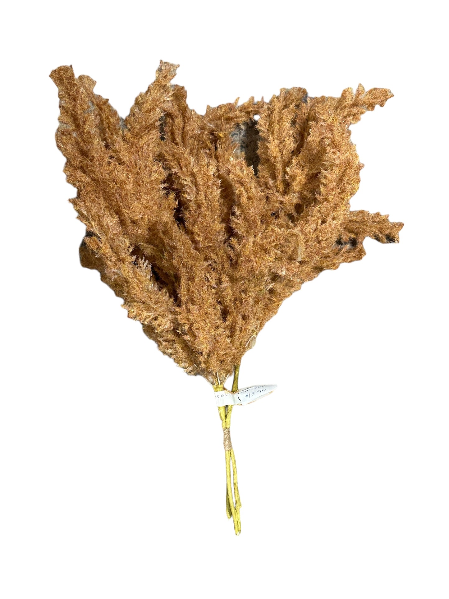 Cmc860 Flocked Pampas bundle