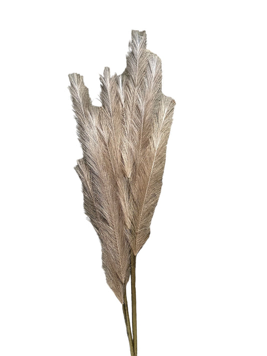 CMC380 Double Plume Pompas Grass Spray