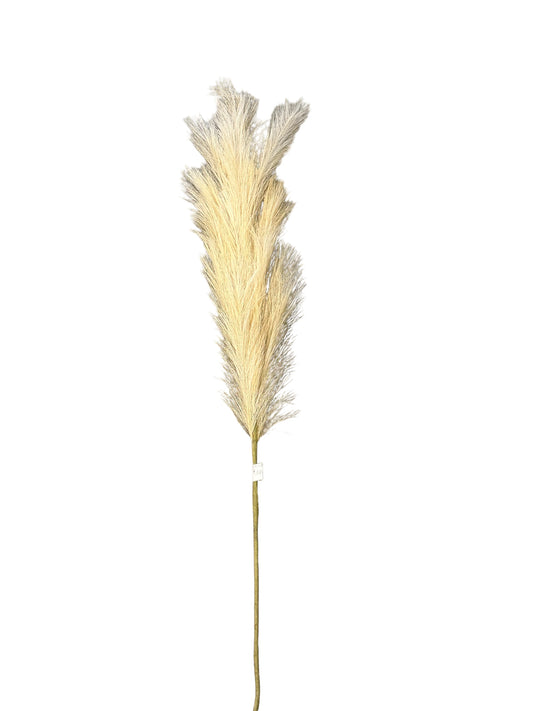 CMC084 Pampas Grass Spray