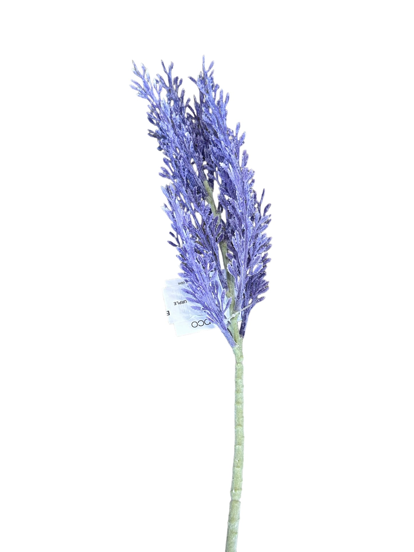 CMC154 - Juniper stem /Purple