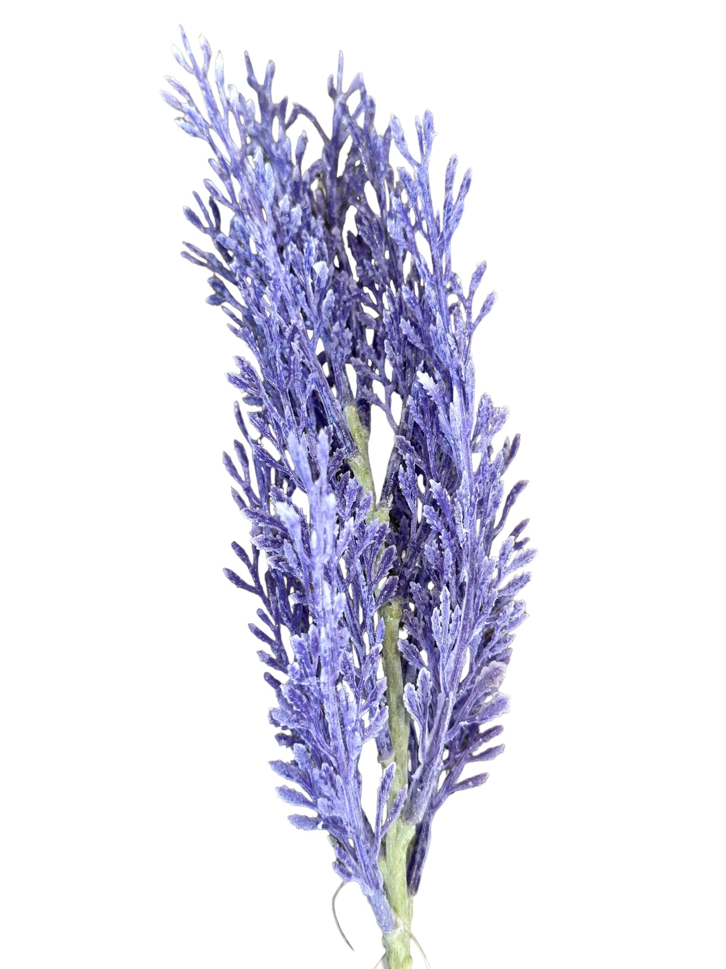 CMC154 - Juniper stem /Purple