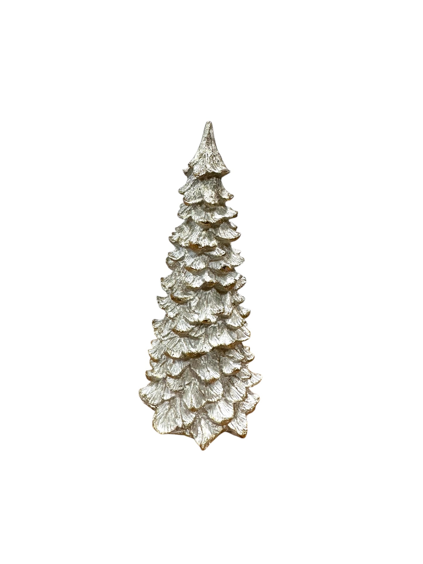 GRO3582-Tree/Fir