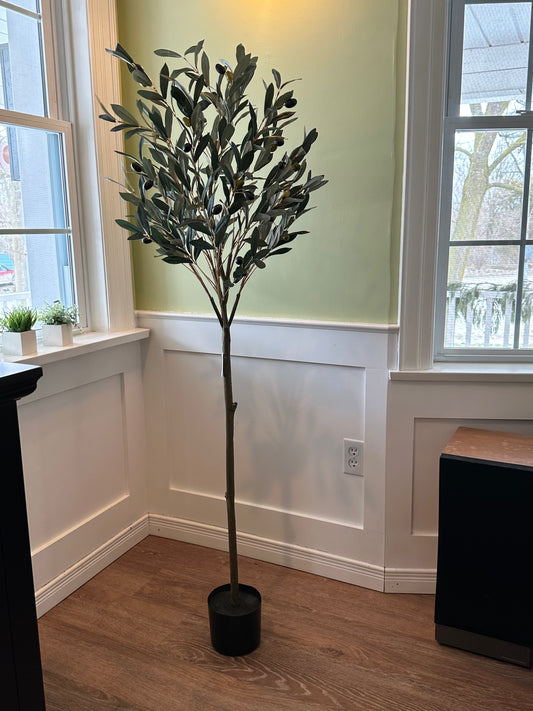 P2030 Olive Tree