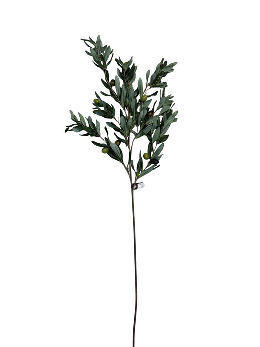 FL9190- Olive Branch