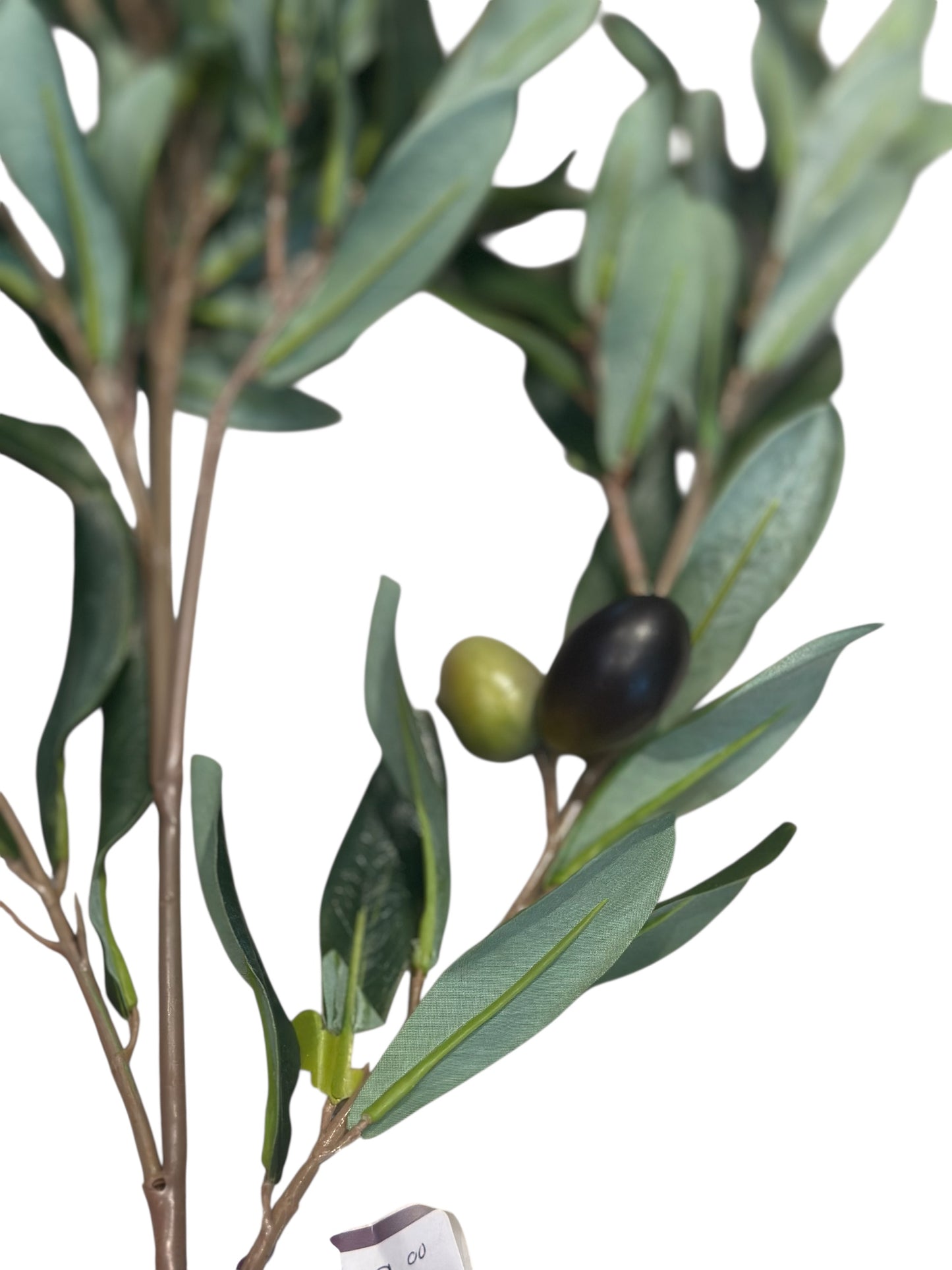 FL9190- Olive Branch