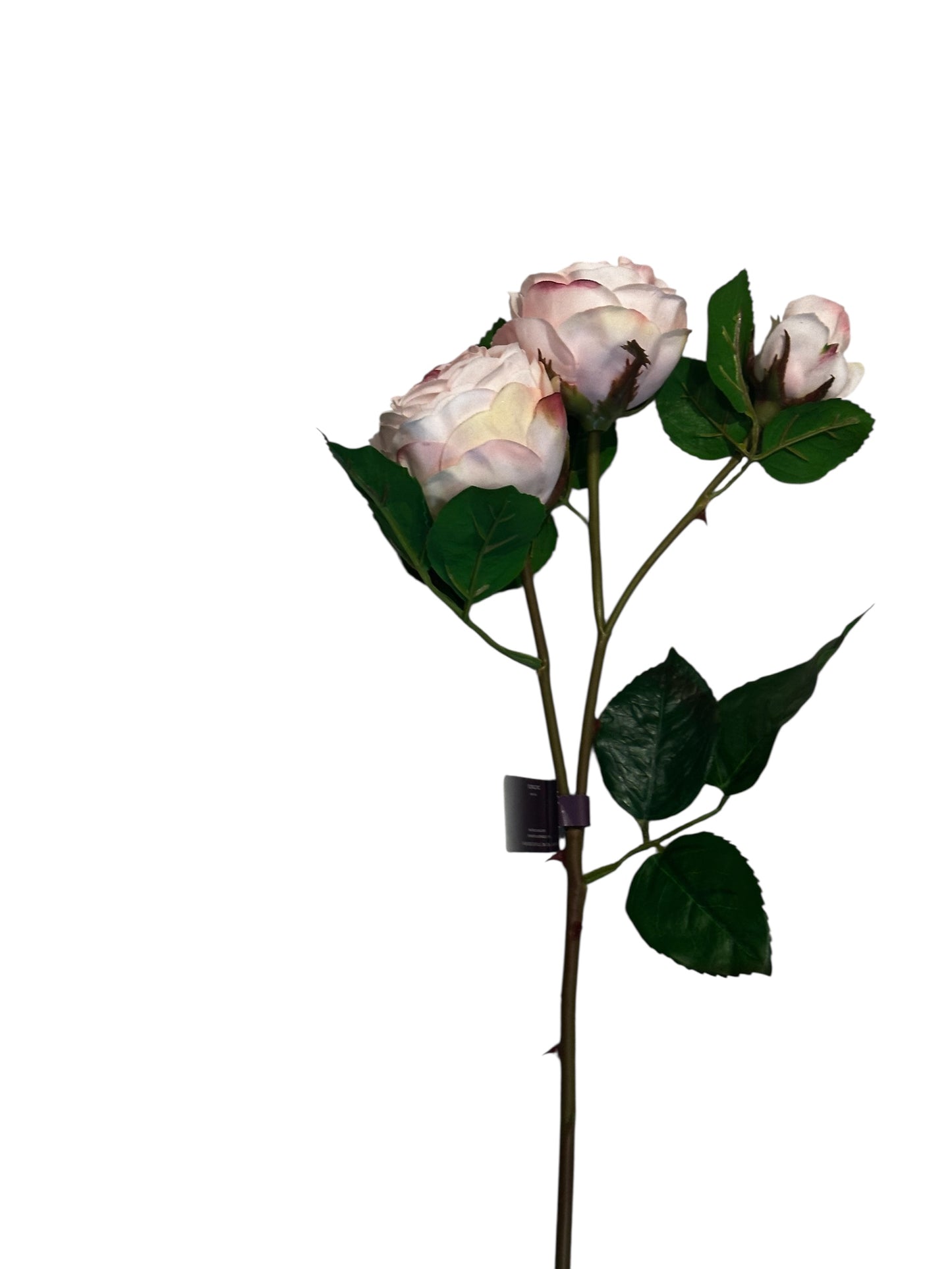 FL2326PK - Roses / pink