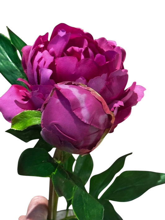 FL1819MA - peony / deep pink