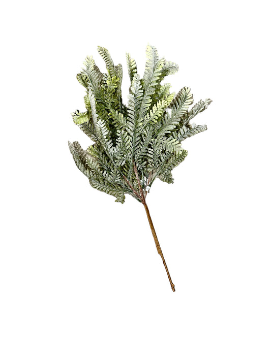 CMC354 Fern Bush / sawtooth