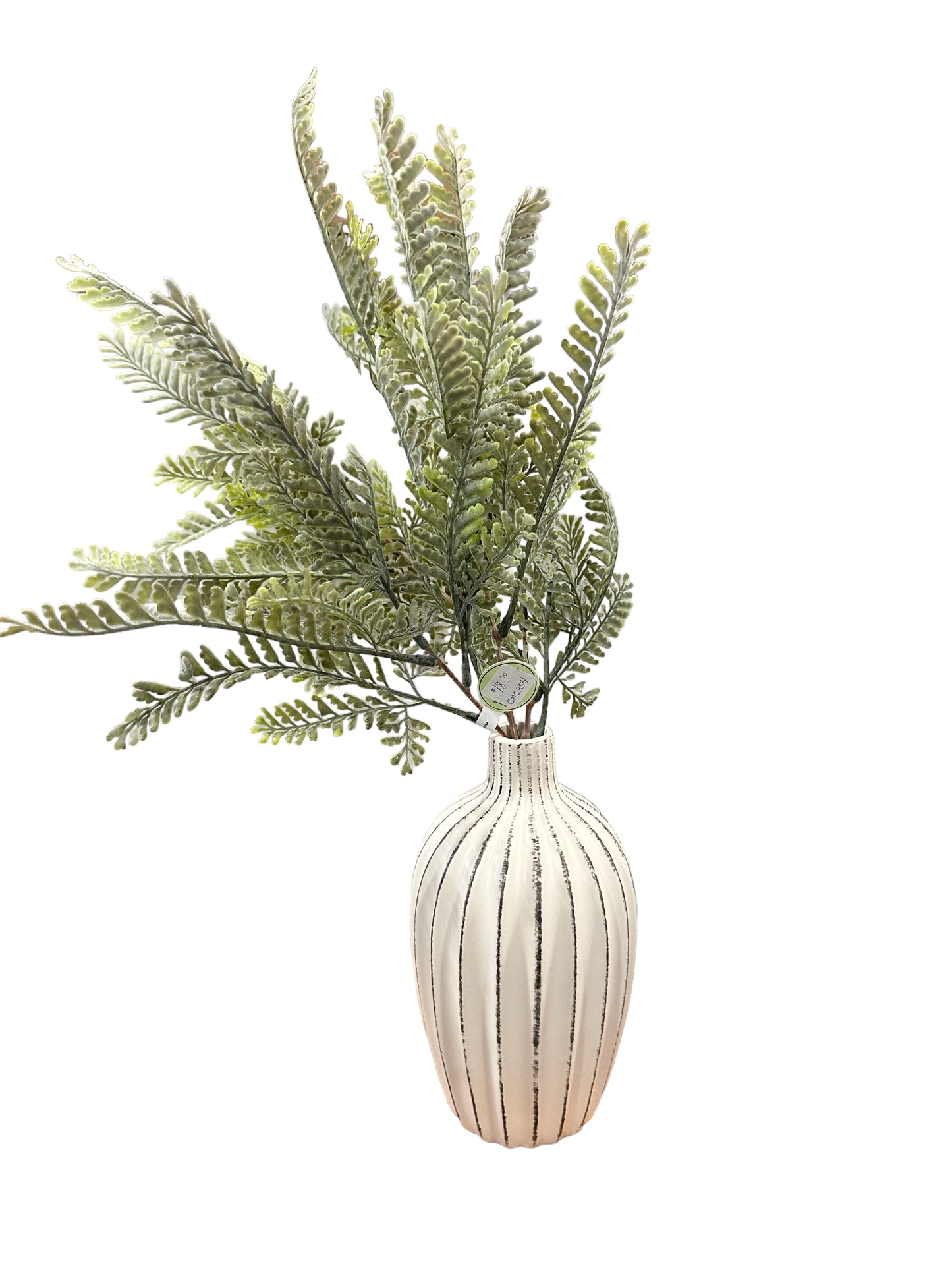 CMC354 Fern Bush / sawtooth