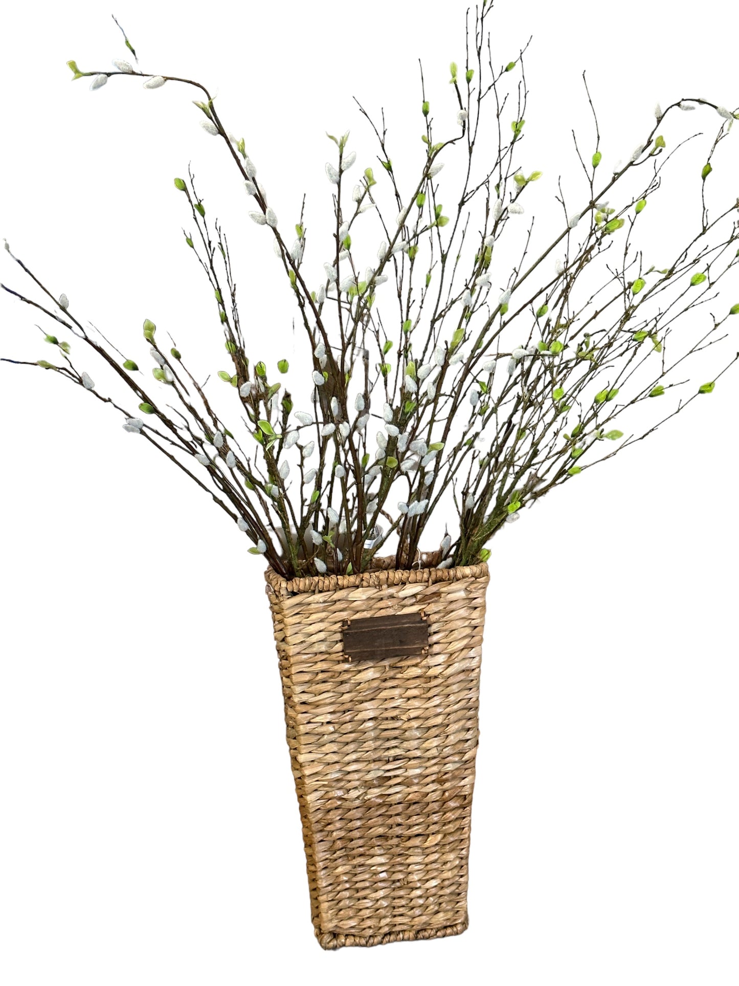 CMC330 Pussy Willow Branch